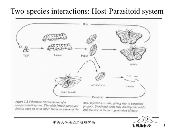 two species interactions host parasitoid system