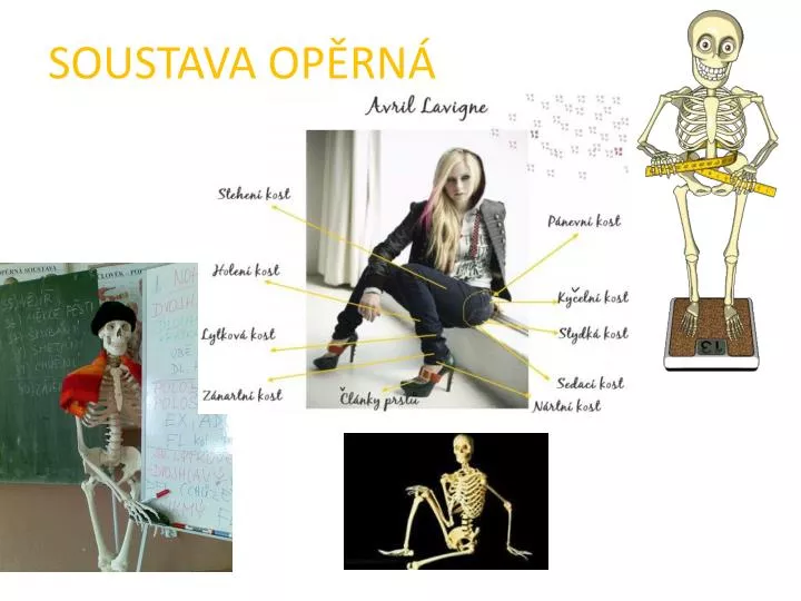 soustava op rn