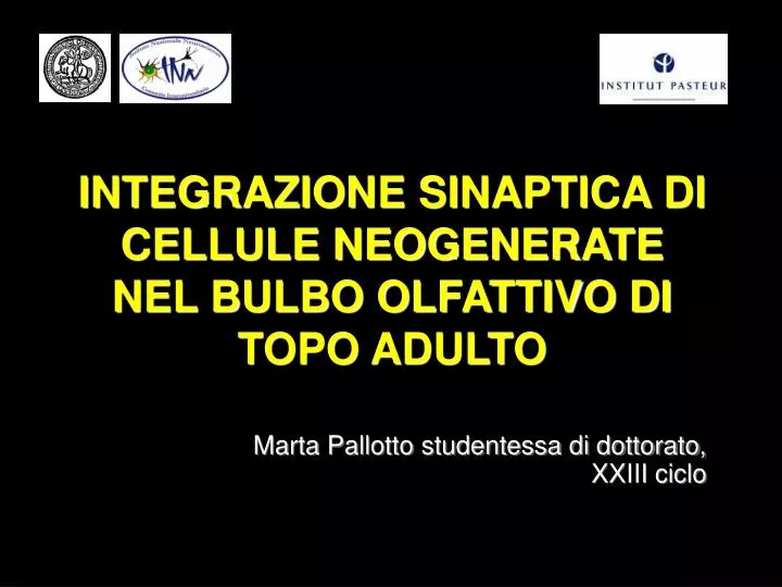 integrazione sinaptica di cellule neogenerate nel bulbo olfattivo di topo adulto