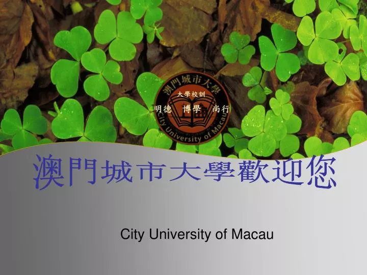 city university of macau