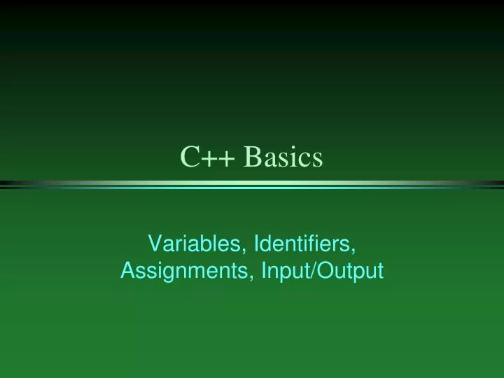 c basics