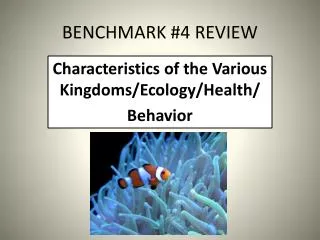 BENCHMARK #4 REVIEW