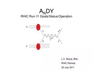 A N DY RHIC Run-11 Goals/Status/Operation