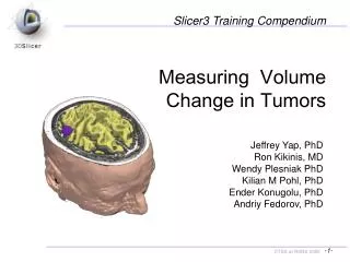 Measuring Volume Change in Tumors