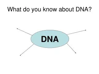What do you know about DNA?