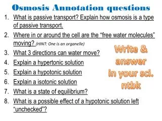 Osmosis Annotation questions