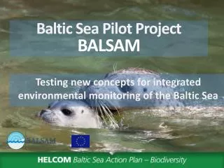 Baltic Sea Pilot Project BALSAM