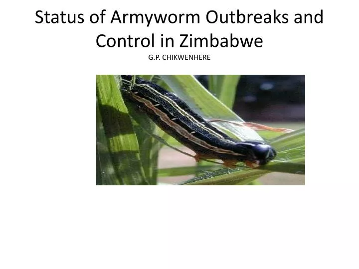 status of armyworm outbreaks and control in zimbabwe g p chikwenhere
