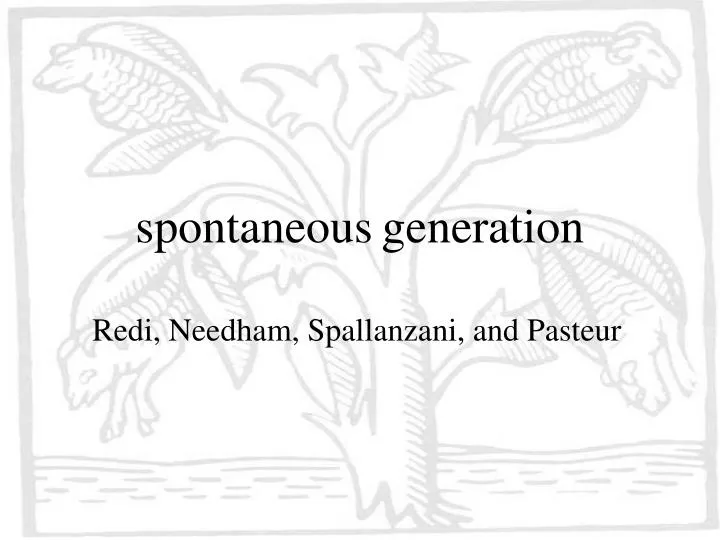 spontaneous generation