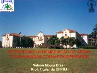 ESTRATÉGIAS de REMEDIAÇÃO DE ÁREAS CONTAMINADAS COM METAIS PESADOS Nelson Moura Brasil