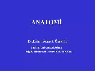 ANATOMİ Dr.Esin Tokmak Özşahin Başkent Üniversitesi Adana