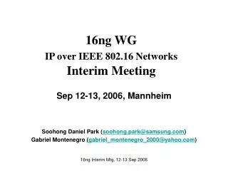16ng WG IP over IEEE 802.16 Networks Interim Meeting