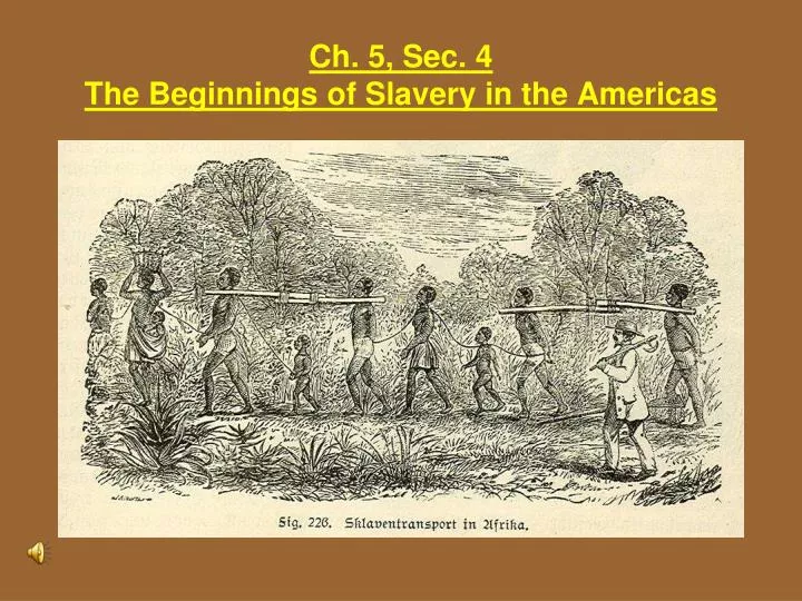ch 5 sec 4 the beginnings of slavery in the americas