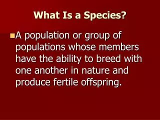 What Is a Species?