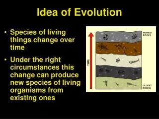 Idea of Evolution