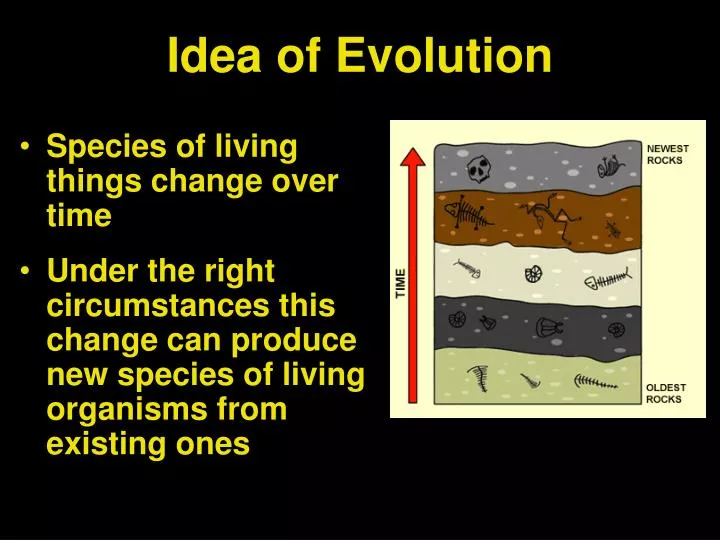 idea of evolution