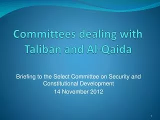 Committees dealing with Taliban and Al-Qaida