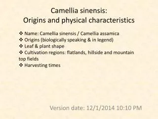 Camellia sinensis: Origins and physical characteristics
