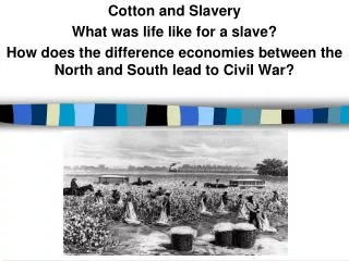 Cotton and Slavery What was life like for a slave?