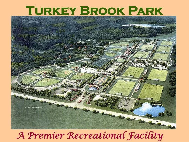 turkey brook park