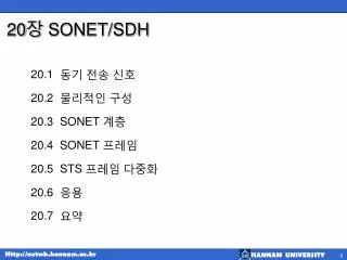 20 장 SONET/SDH