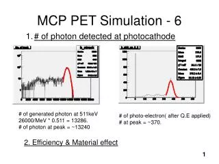 MCP PET Simulation - 6