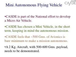 Mini Autonomous Flying Vehicle