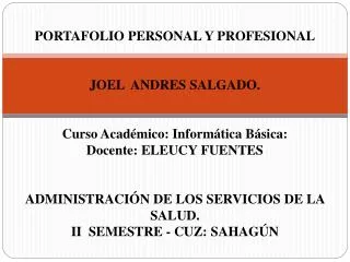 PORTAFOLIO PERSONAL Y PROFESIONAL JOEL ANDRES SALGADO. Curso Académico: Informática Básica:
