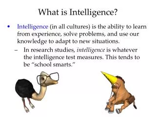 What is Intelligence?