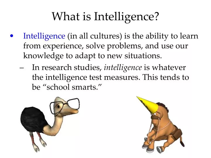 what is intelligence