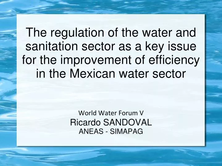 world water forum v ricardo sandoval aneas simapag