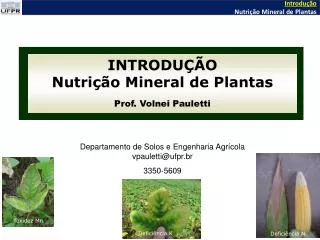 INTRODUÇÃO Nutrição Mineral de Plantas Prof. Volnei Pauletti