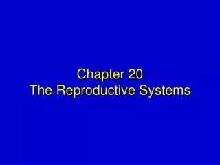 Chapter 20 The Reproductive Systems