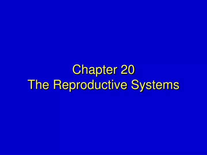 chapter 20 the reproductive systems