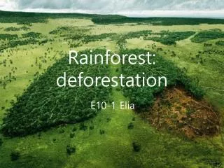 Rainforest: deforestation