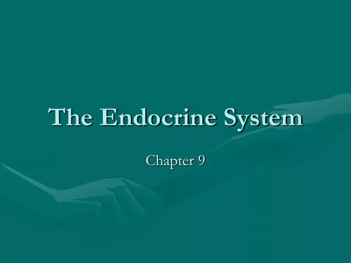 the endocrine system