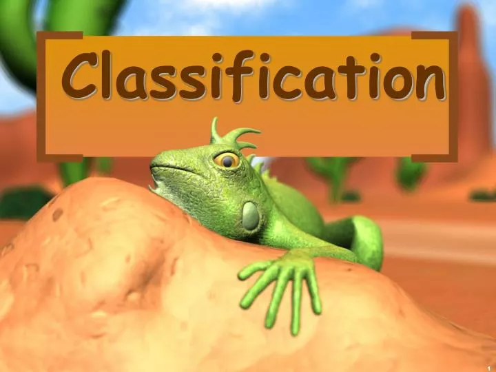 classification