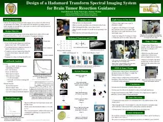 Design of a Hadamard Transform Spectral Imaging System for Brain Tumor Resection Guidance