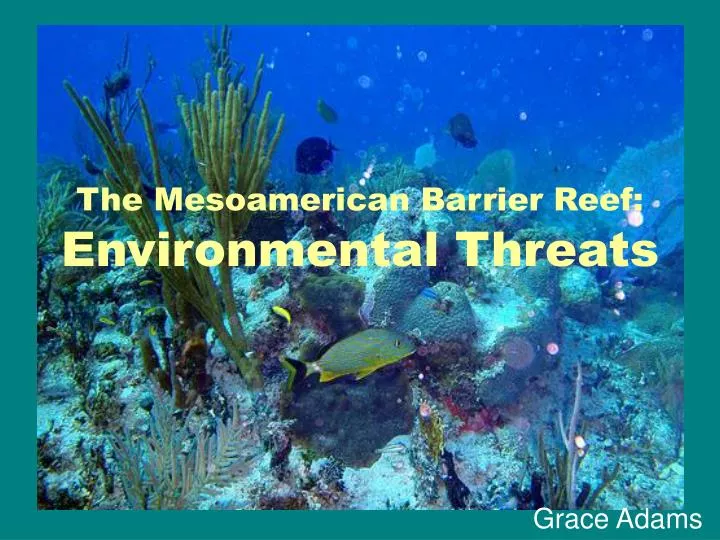 the mesoamerican barrier reef environmental threats