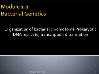 Module 1-1 Bacterial Genetics