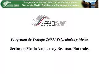 Programa de Trabajo 2005 / Prioridades y Metas Sector de Medio Ambiente y Recursos Naturales