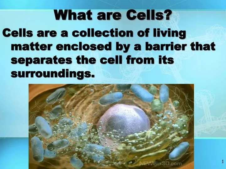 what are cells