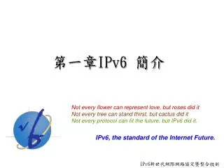 第一章 IPv6 簡介