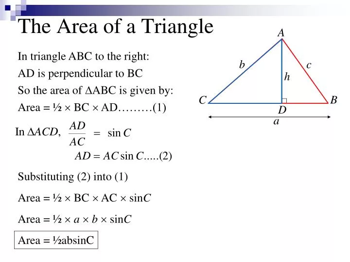 the area of a triangle