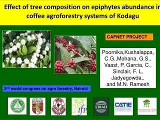 Effect of tree composition on epiphytes abundance in coffee agroforestry systems of Kodagu