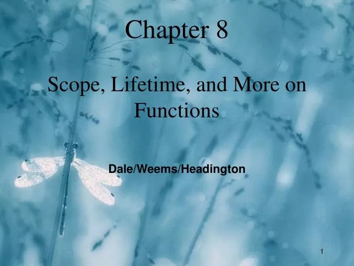 chapter 8 scope lifetime and more on functions