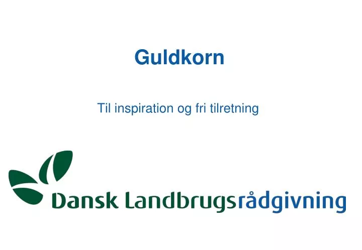 guldkorn