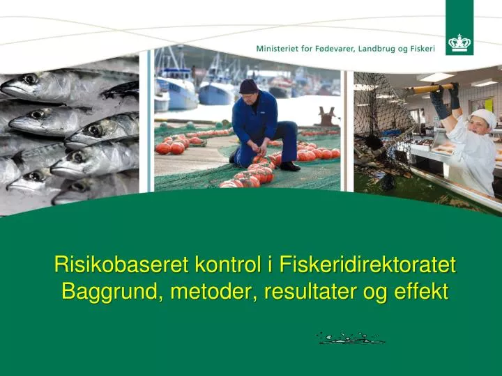 risikobaseret kontrol i fiskeridirektoratet baggrund metoder resultater og effekt