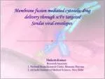 Mukesh Kumar Research Associate - slide 1