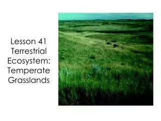 Lesson 41 Terrestrial Ecosystem: Temperate Grasslands